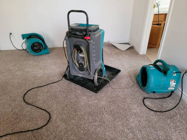 Best Carpet water damage restoration  in Central Falls, RI