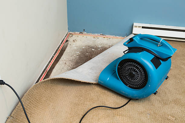 Best 24-hour water damage restoration  in Central Falls, RI